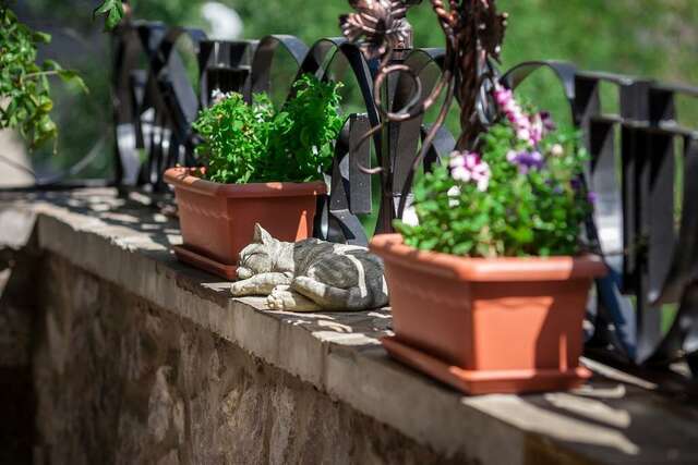 Гостиница Гранд Флёр Форос-34